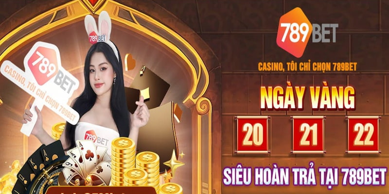 Chính sách hoàn trả cực kì ưu đãi đặc biệt chỉ dành riêng cho các hội viên VIP.